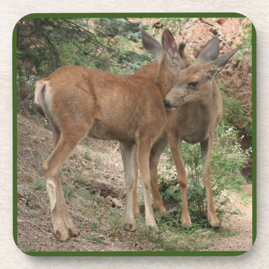 Deer Hugging Bier Onderzetter (Voorkant)