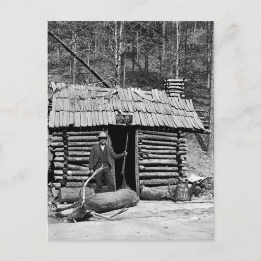 Deer Hunter, 1901 Briefkaart (Voorkant)