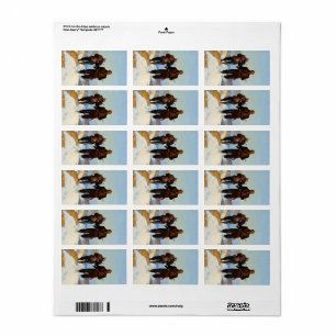 Deer Hunters, 1924, van Newell Convers Wyeth Etiket