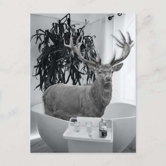 Deer in Bathtub Black White Bathroom art Briefkaart (Voorkant)