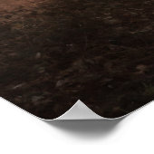 Deer in bossen bij zonsopgang in Norfolk England Poster (Hoek)