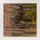 Deer in Bossen Legpuzzel (Horizontaal)