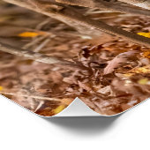 Deer in Bossen Perfect Poster (Hoek)