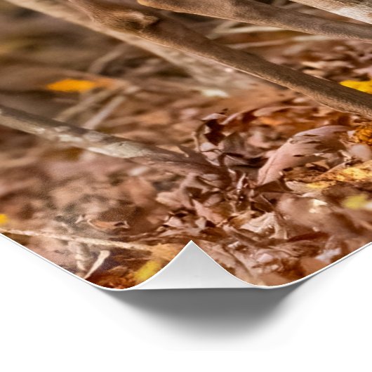 Deer in Bossen Perfect Poster (Hoek)