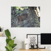 Deer in Bossen Poster (Thuiskantoor)