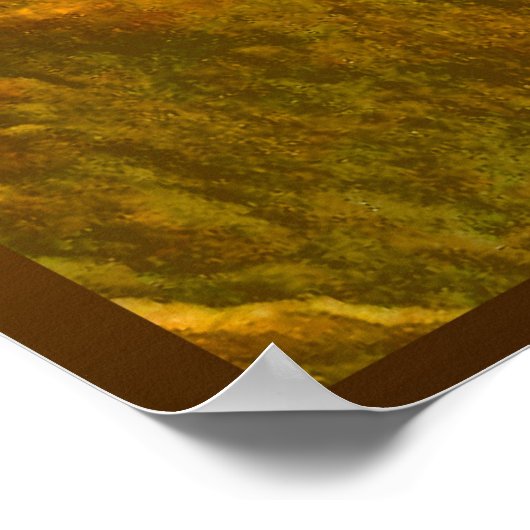 Deer in Chimiachas Poster (Hoek)