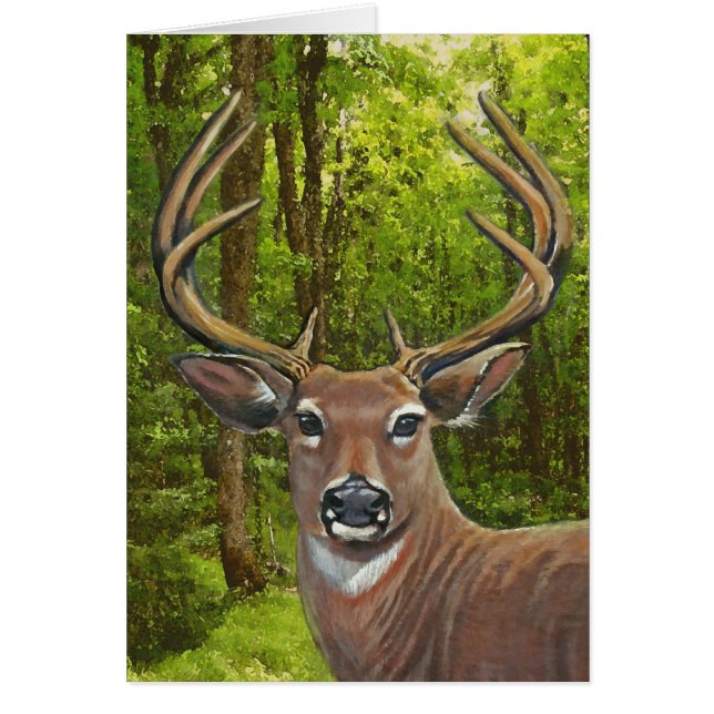 Deer in de Ash Meadow (Voorkant)