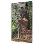 DEER IN DE BOSSEN KLEMBORD (Links)