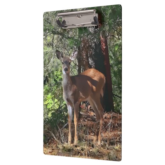 DEER IN DE BOSSEN KLEMBORD (Links)