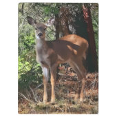 DEER IN DE BOSSEN KLEMBORD (Achterkant)