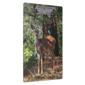 DEER IN DE BOSSEN KLEMBORD (Rechts)
