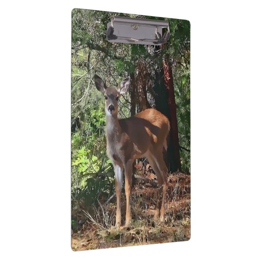 DEER IN DE BOSSEN KLEMBORD (Rechts)