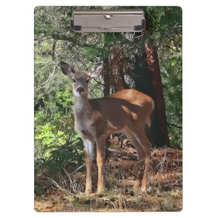 DEER IN DE BOSSEN KLEMBORD