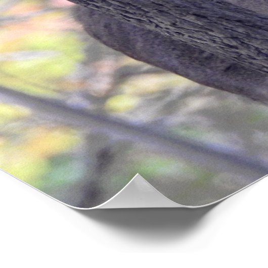 Deer in de Bossen Poster (Hoek)