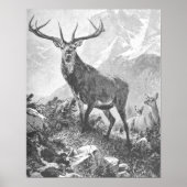 Deer in de hoge bergen poster (Voorkant)