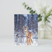 Deer in de sneeuw, briefkaart (Staand voorkant)