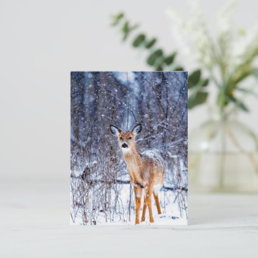 Deer in de sneeuw, briefkaart (Staand voorkant)