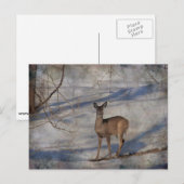 Deer in de sneeuw briefkaart (Voorkant / Achterkant)