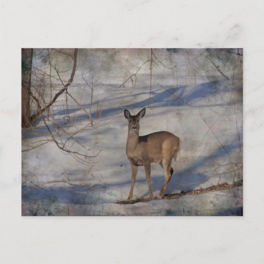 Deer in de sneeuw briefkaart (Voorkant)