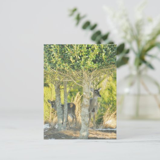 Deer in de sneeuw briefkaart (Staand voorkant)