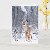 Deer in de sneeuw kaart (Gele Bloem)