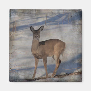 Deer in de sneeuw magneet