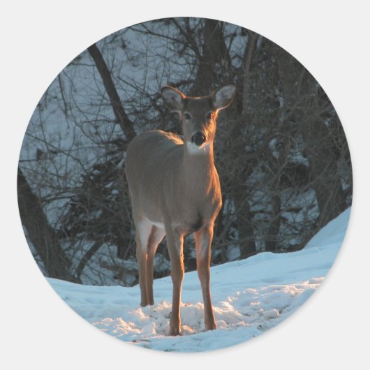 Deer in de sneeuw ronde sticker (Voorkant)