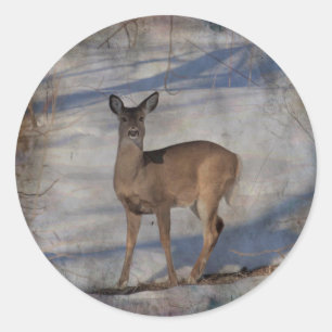 Deer in de sneeuw ronde sticker