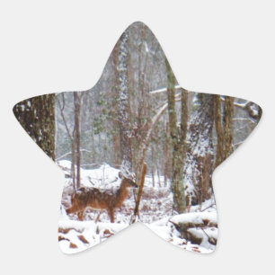 Deer in de sneeuwherfst ster sticker