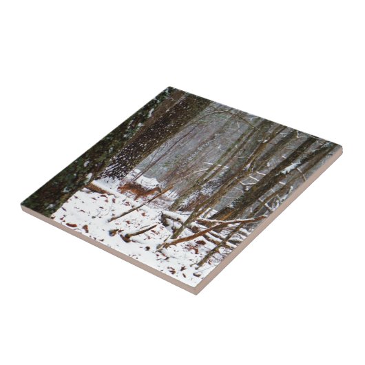 Deer in de sneeuwherfst tegeltje (Zijkant)