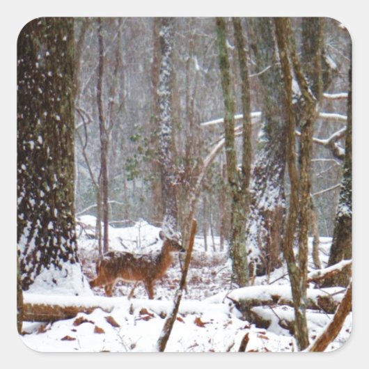 Deer in de sneeuwherfst vierkante sticker (Voorkant)