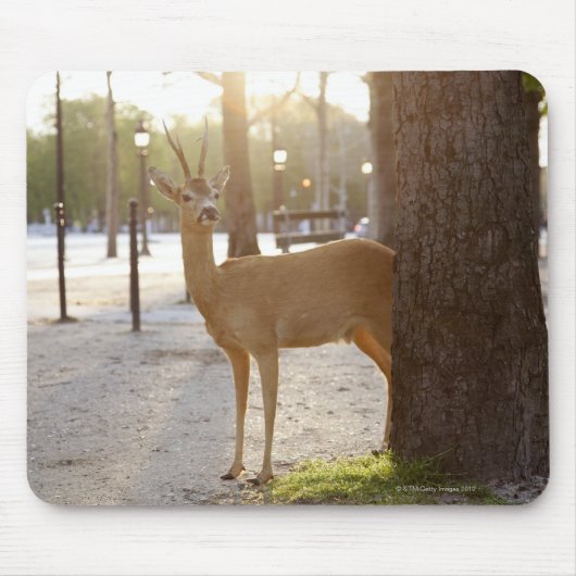 Deer in de stad muismat (Voorkant)