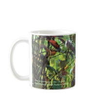 Deer in de tuinen na de vorst