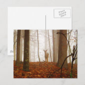 Deer in de vuist briefkaart (Voorkant / Achterkant)