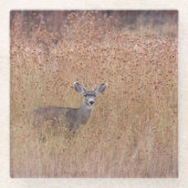 Deer in de weide glazen onderzetter (Voorkant)