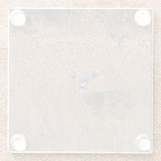 Deer in de weide glazen onderzetter (Achterkant)