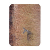 Deer in de weide magneet (Verticaal)