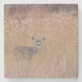 Deer in de weide stenen onderzetter (Voorkant)