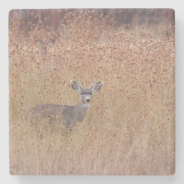 Deer in de weide stenen onderzetter