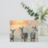 Deer in een veld briefkaart (Staand voorkant)
