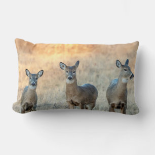 Deer in een veld kussen