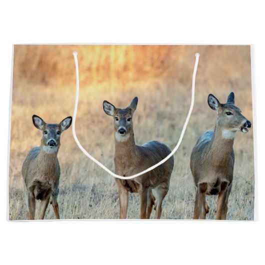 Deer in een veld large cadeautasje (Voorkant)