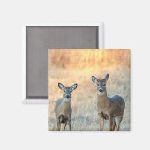 Deer in een veld magneet (Voorkant / Achterkant)