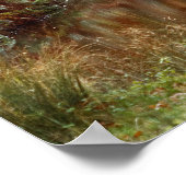 Deer in Fall Colors Poster (Hoek)