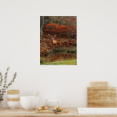 Deer in Fall Colors Poster (Keuken)