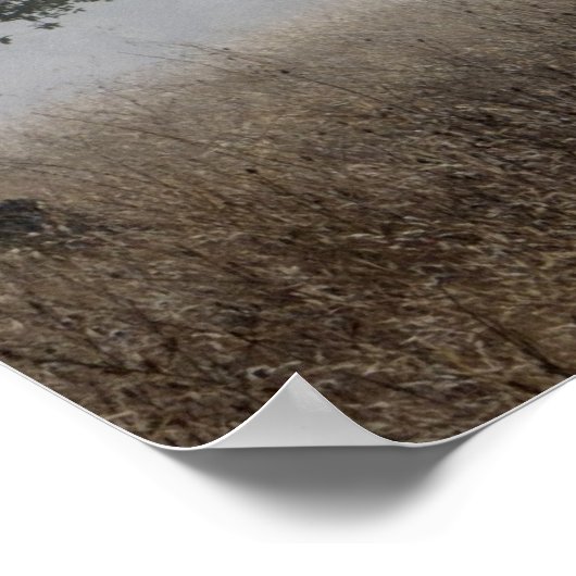 Deer in Fog Poster (Hoek)