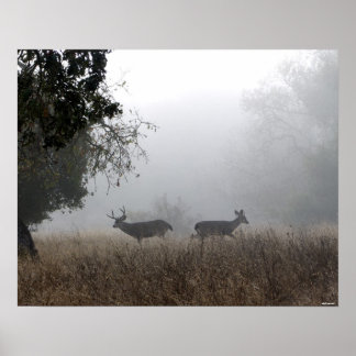 Deer in Fog Poster