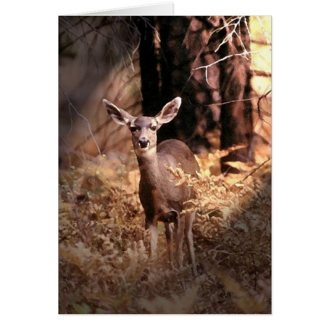 Deer in Forest (Voorkant)