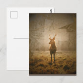 Deer in het bos briefkaart (Voorkant / Achterkant)