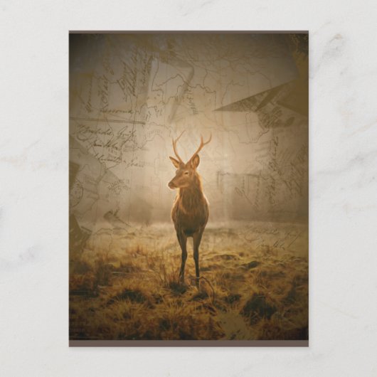 Deer in het bos briefkaart (Voorkant)
